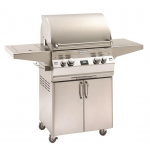 Gas BBQ Grills