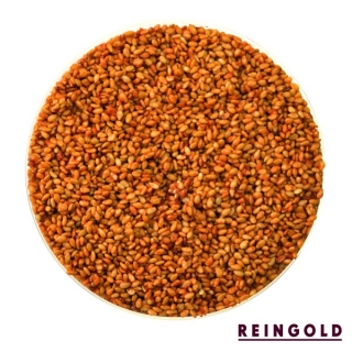 REINGOLD Sesam Kimchi No.701 - 90 g
