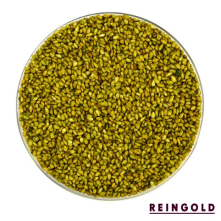 REINGOLD Sesam Wasabi Nr.703